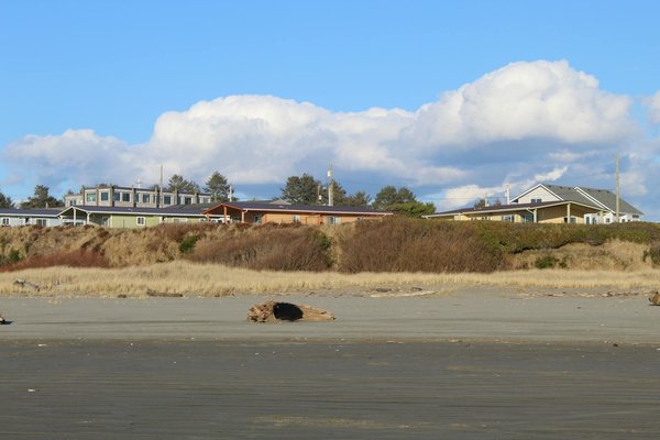 Où observer les lémuriens en liberté à Madagascar : parcs et périodes idéales ?